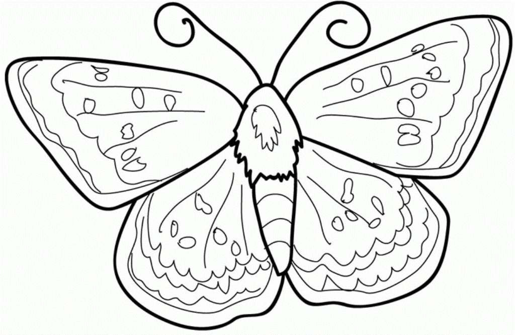 раскраска бабочки